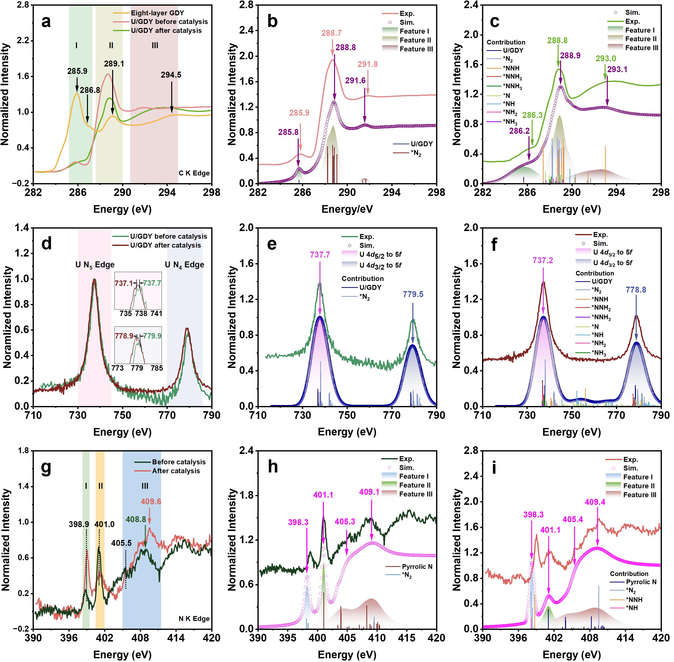 北京大学化学与分子工程学院沈兴海课题组在高效热催化产氨领域取得重大突破