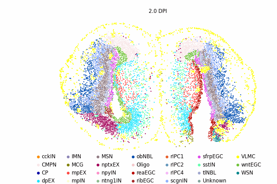 北京大学数学科学学院李铁军/周沛劼团队建立单细胞时空转录组动力学重构新方法stVCR