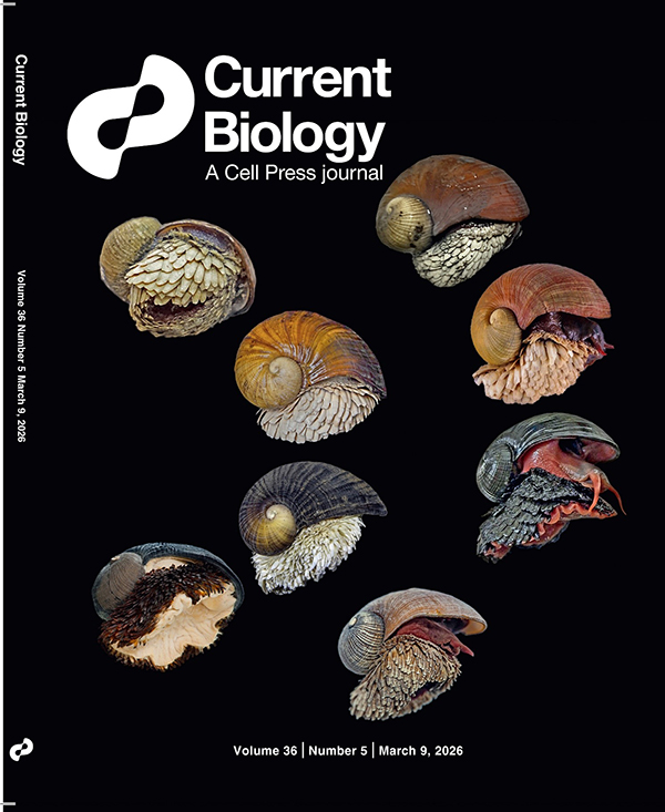 中国海洋大学在印度洋深海热液鳞足螺种群扩散研究中取得新进展