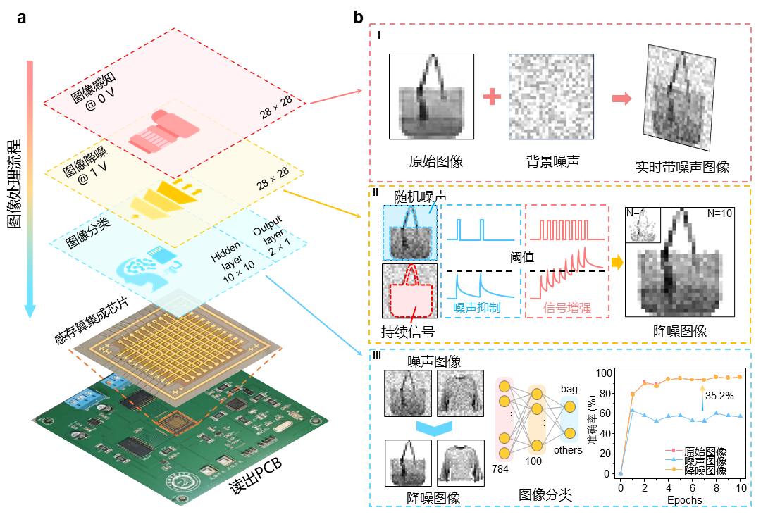 中国科大研制出首个具有感存算三合一功能的光电二极管