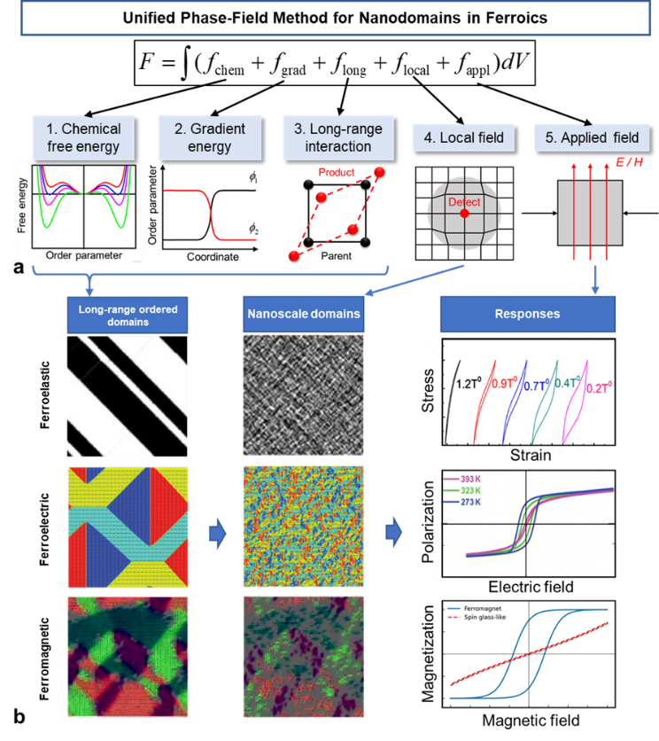 西安交大科研团队在铁性材料纳米畴的相场模拟领域发表综述论文