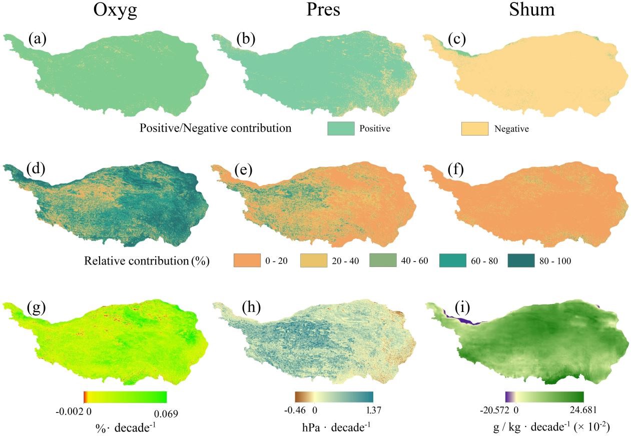 北京师范大学北京师范大学地表过程与水土风沙灾害风险全国重点实验室、地理科学学部教授史培军团队在《Science Bulletin》发文揭示氧分压的升高降低了青藏高原缺氧人口暴露