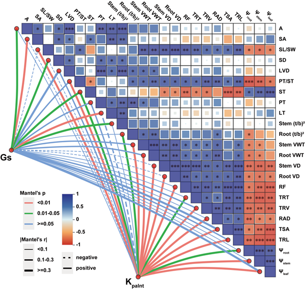 西北农林科技大学（805）园艺学院设施农业生物与环境工程研究团队李建明教授/张淑辉副教授课题组揭示SlTIP2;3驱动ROS-GA信号轴触发植株可塑性形态响应的功能模型