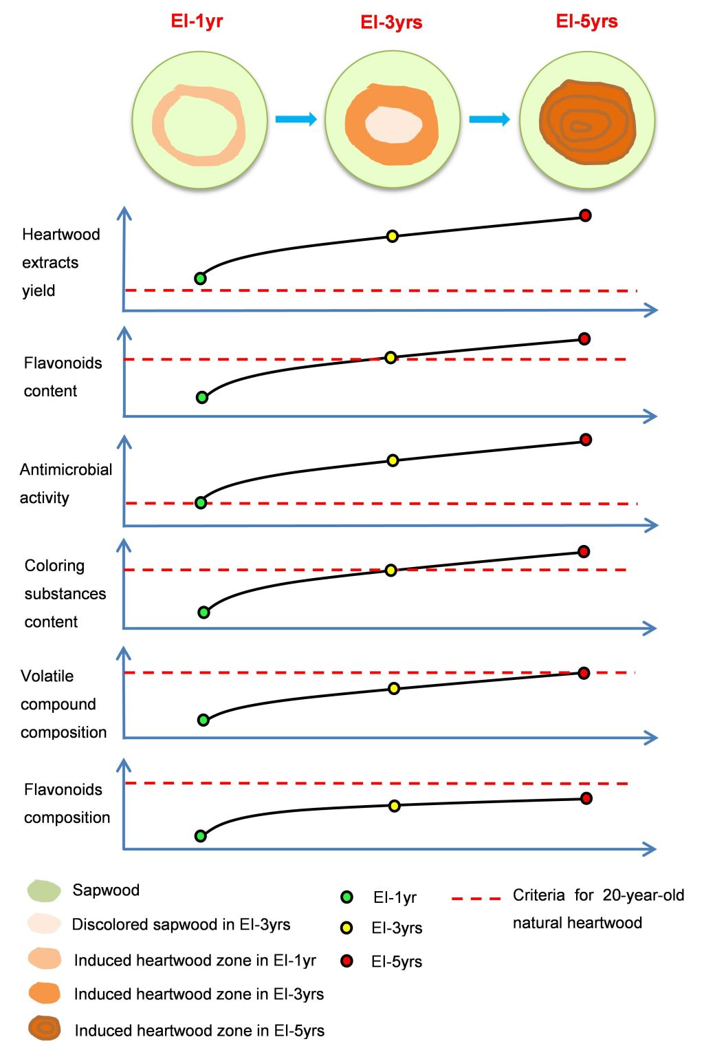 热林所对乙烯诱导心材形成的作用机理研究取得新进展