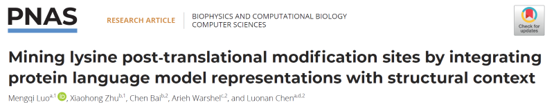 上海交大数学科学学院陈洛南教授研究团队PNAS发文，为蛋白质修饰位点精准预测提供AI新范式