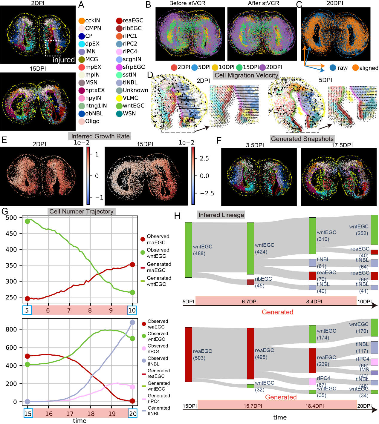 北京大学数学科学学院李铁军/周沛劼团队建立单细胞时空转录组动力学重构新方法stVCR