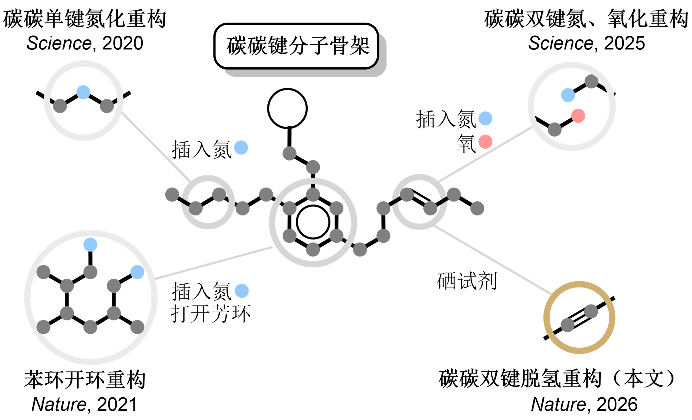 北京大学药学院焦宁团队唤醒尘封百年试剂，破解烯烃制备炔烃世界难题