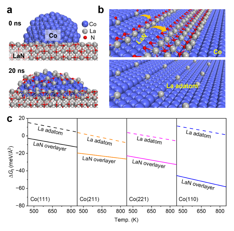 中国科大揭示合成氨反应中氮化物动态包覆高效催化新机制