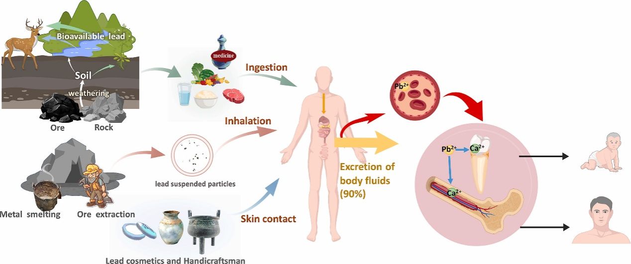 牙釉质铅同位素分析揭示鲁北地区6000年人类铅暴露史
