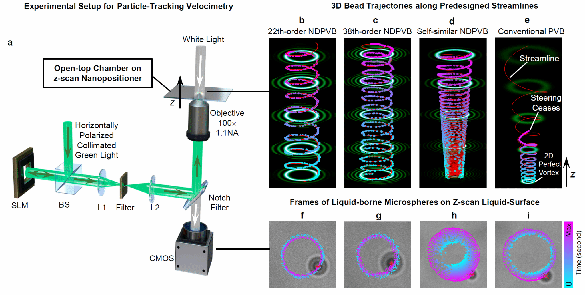 南京大学物理学院丁剑平、王慧田团队提出基于流体模型的结构光调控框架