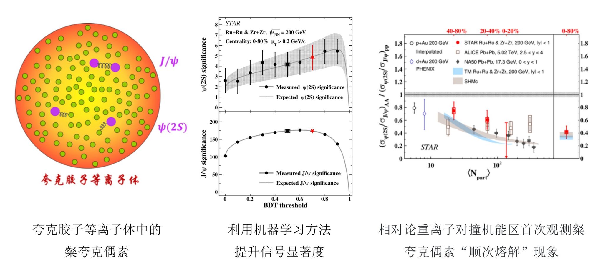 中国科大观测到重味夸克偶素在新物质形态中的“顺次熔解”现象