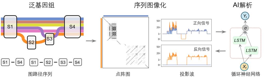 西安交大叶凯团队在 《自然·遗传学》发表群体结构变异研究新成果