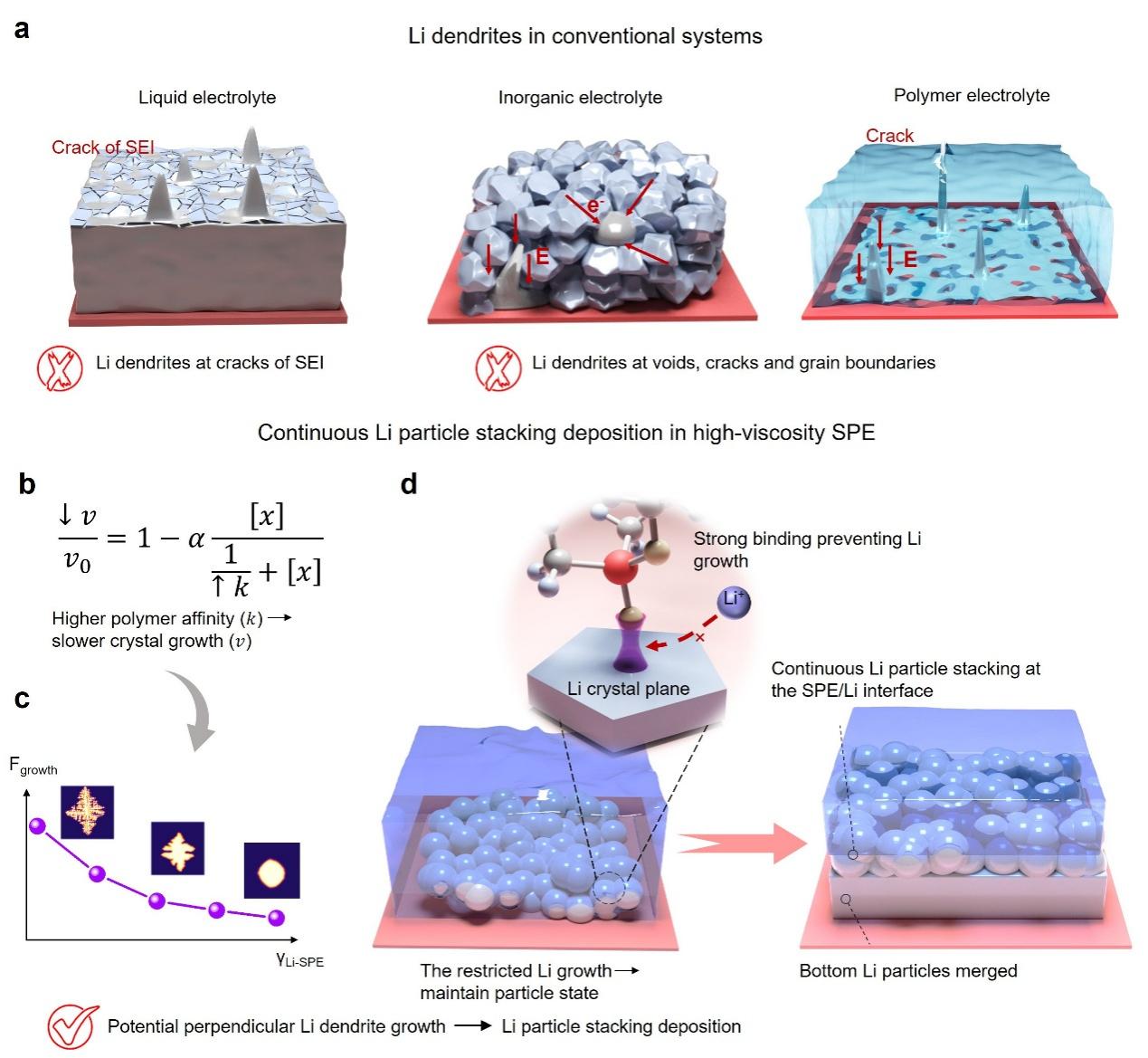 清华大学深圳国际研究生院周光敏团队合作在固态锂金属电池锂沉积调控研究方向取得新进展