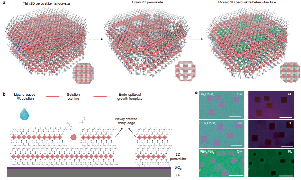 中国科大实现二维钙钛矿单晶面内马赛克异质结