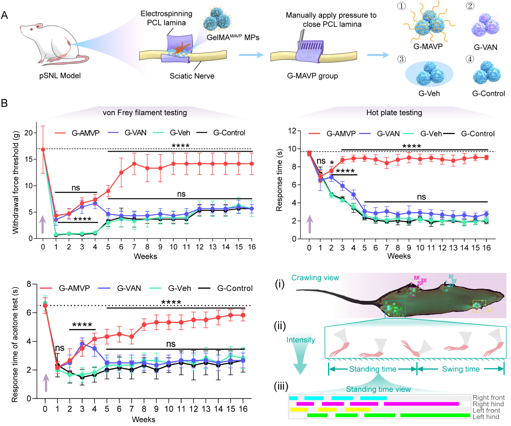 清华大学北京清华长庚医院潘勇卫团队和材料学院王秀梅团队合作提出多重调节残端神经微环境新策略