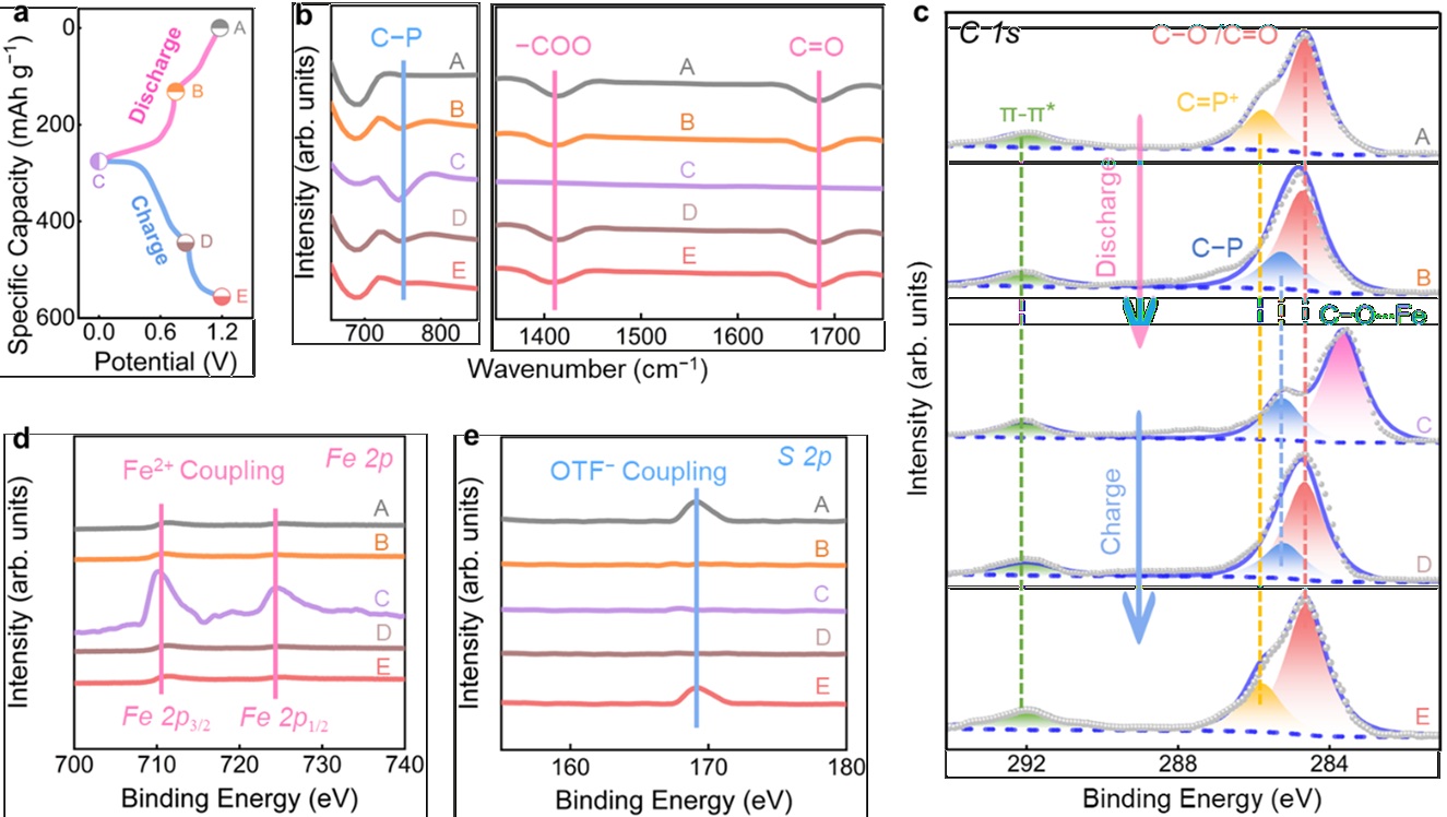 化学科学与工程学院刘明贤团队提出磷激活羧基小分子策略设计高性能铁离子电池，成果发表于《自然·通讯》