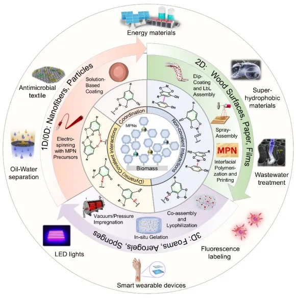 木工所在国际知名期刊《Progress in Materials Science》 发表生物质表面金属多酚网络综述