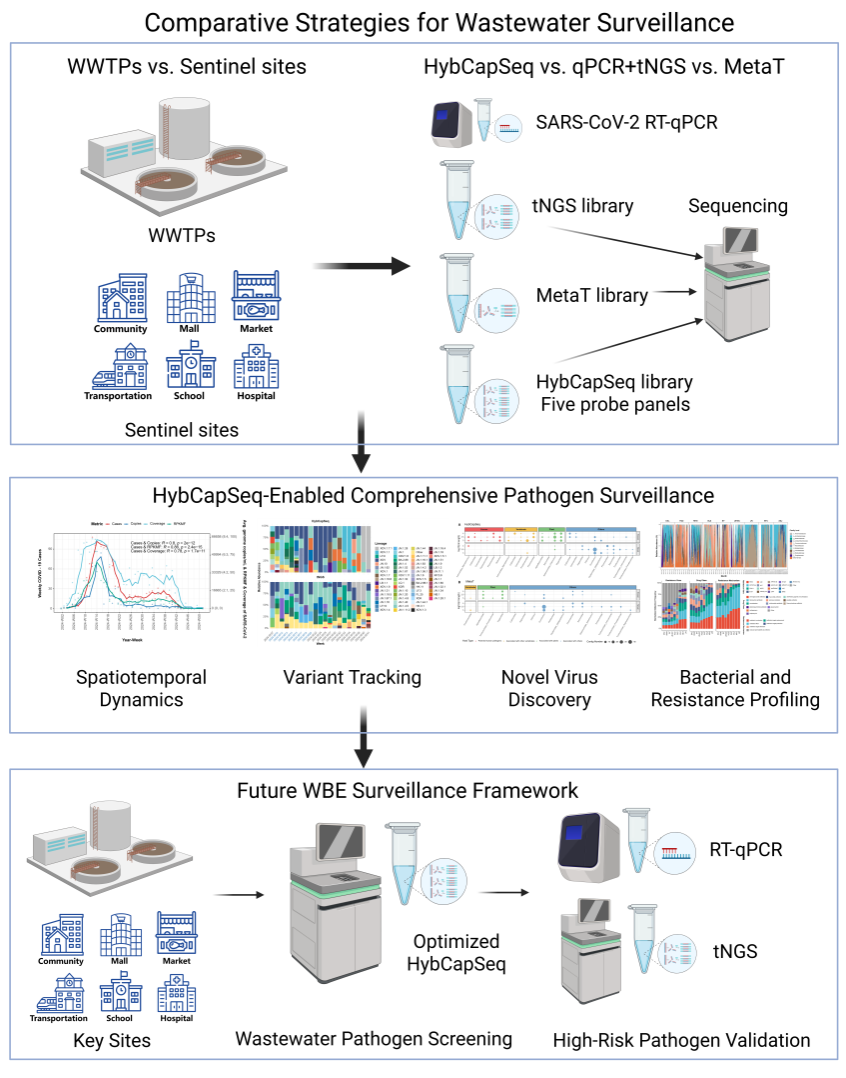 中山大学公共卫生学院郭城团队基于捕获测序技术的污水传染病监测研究取得系列进展