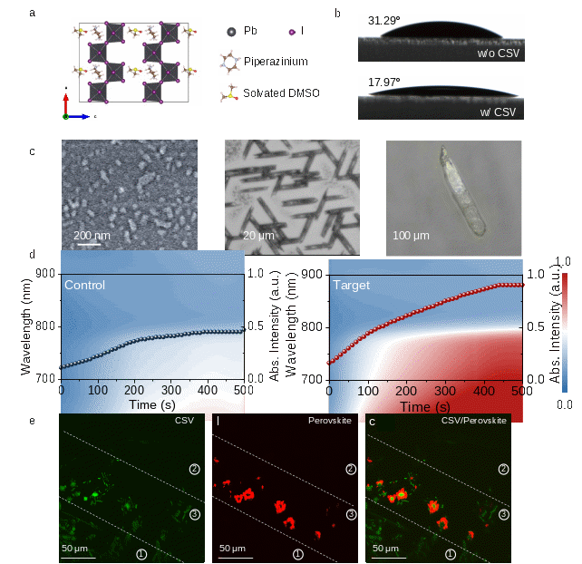 研究开发兼具通用性与可扩展性的钙钛矿结晶调控新策略
