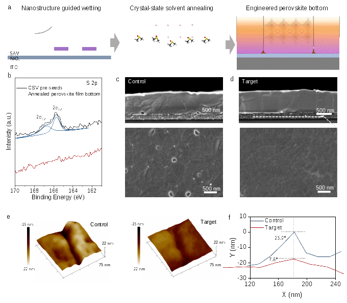 研究开发兼具通用性与可扩展性的钙钛矿结晶调控新策略