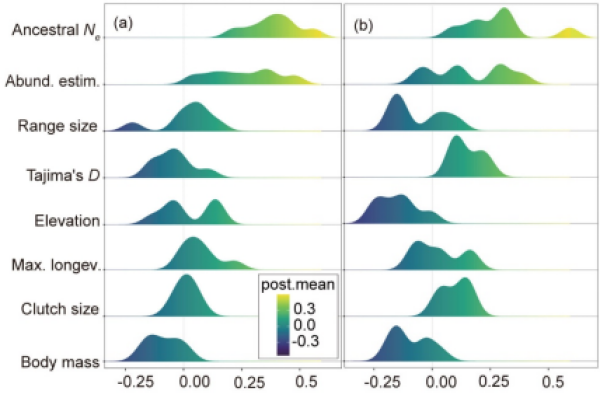 研究揭示决定现代物种遗传多样性关键因素