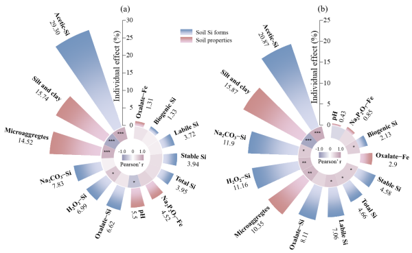氮沉降对森林土壤硅组分影响研究取得进展