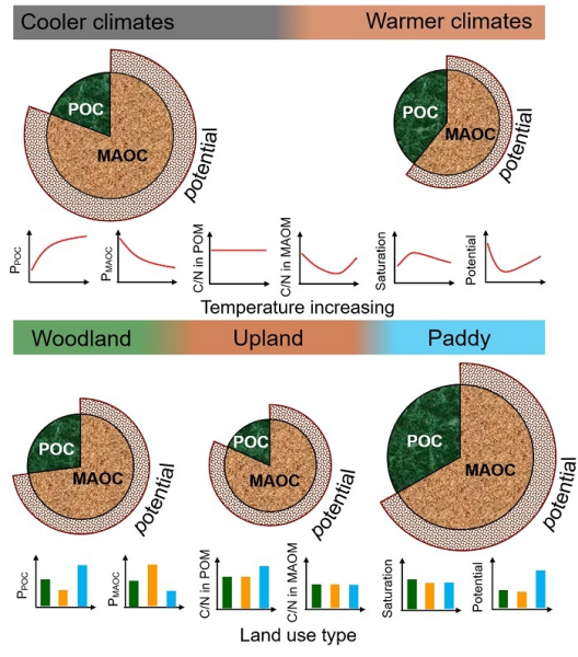 土壤有机碳饱和水平研究取得进展
