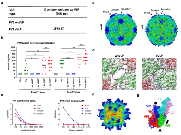 脊灰疫苗研发取得进展
