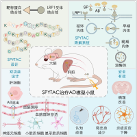 学术会议在线