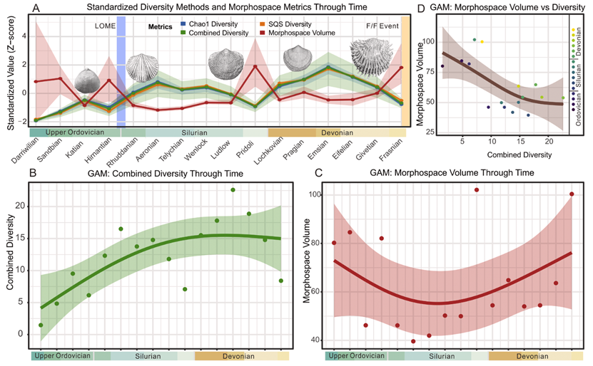 深时化石记录揭示远古海洋物种高多样性陷阱
