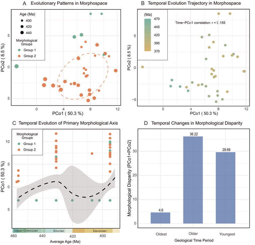 深时化石记录揭示远古海洋物种高多样性陷阱