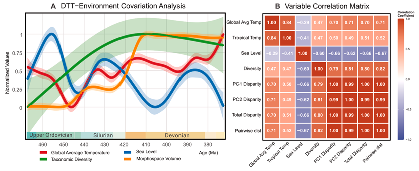 深时化石记录揭示远古海洋物种高多样性陷阱