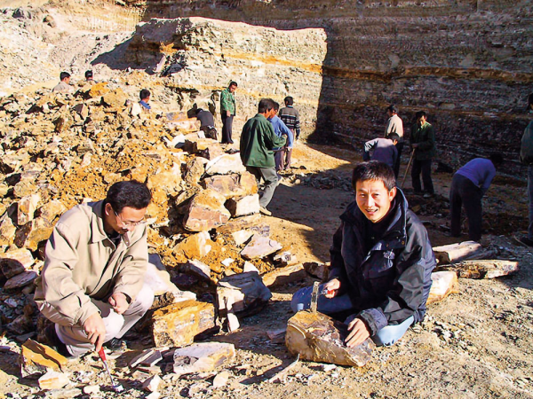 飞向蓝天的恐龙