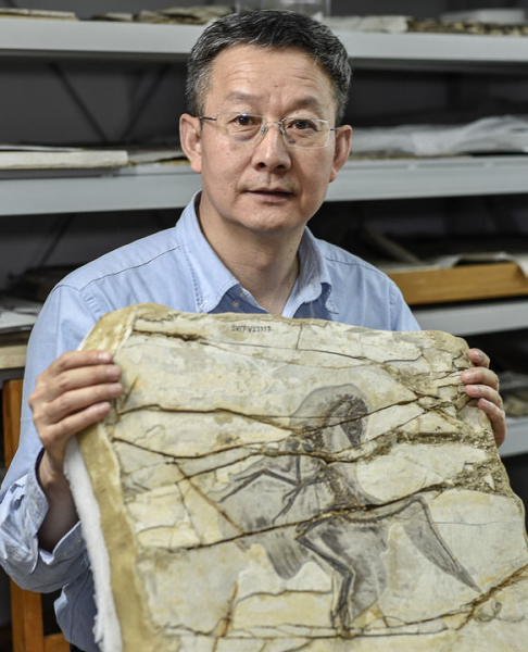 飞向蓝天的恐龙