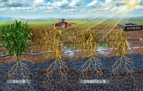 光纤“听诊”,破解土壤“脉动”密码