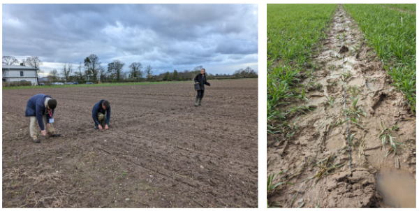 光纤“听诊”,破解土壤“脉动”密码