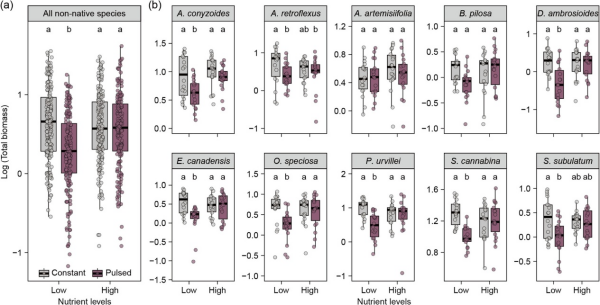 资源波动调控外来植物入侵机制研究取得进展