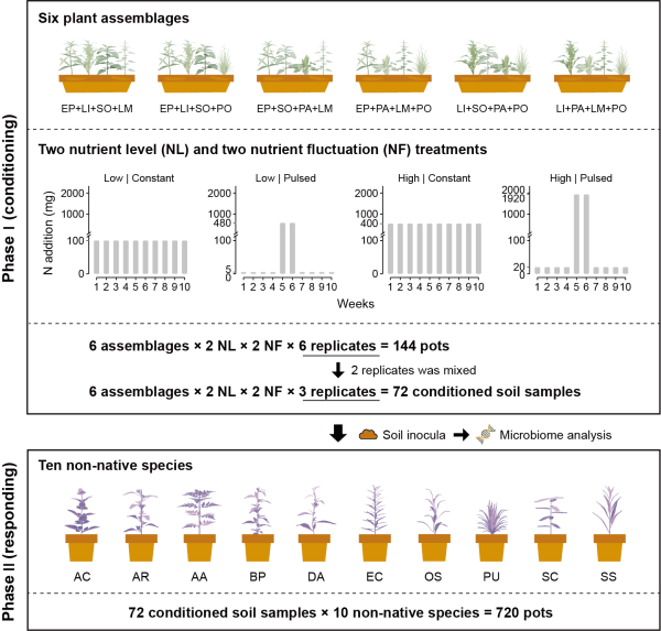 资源波动调控外来植物入侵机制研究取得进展