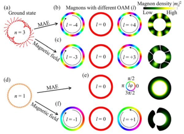 二硒化钒单壁纳米管研究获进展