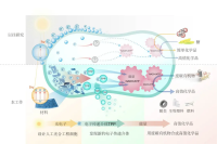 学术会议在线