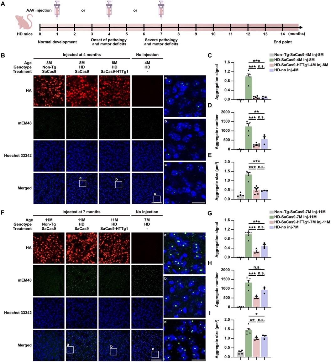 北京大学生命科学学院李沉简课题组开发自失活CRISPR系统实现亨廷顿舞蹈症基因治疗新突破
