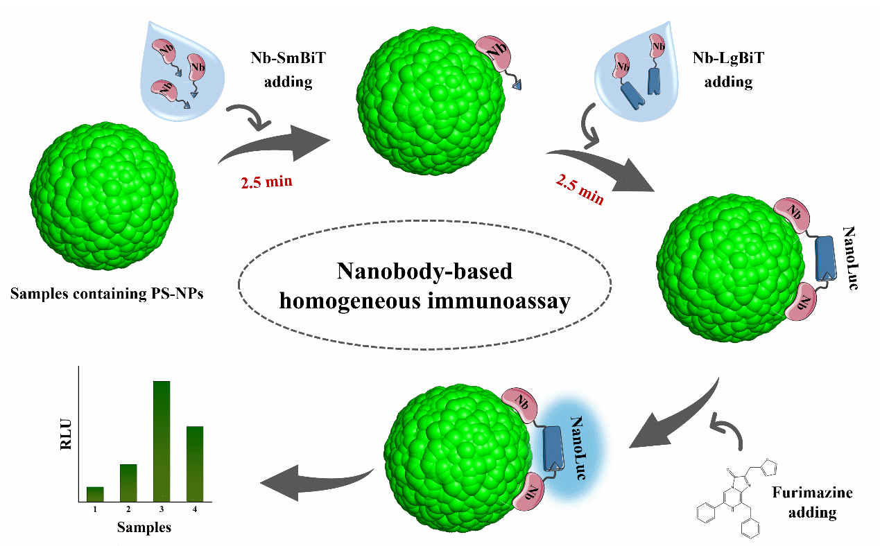 研究实现20纳米聚苯乙烯纳米塑料快速检测