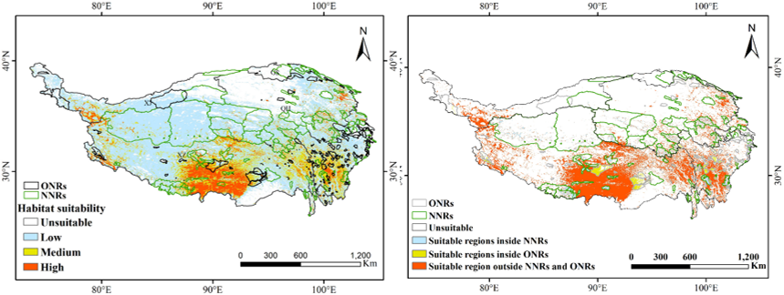 森环森保所在青藏高原红景天属植物潜在适生区 模拟与保护优先区识别研究中取得新进展