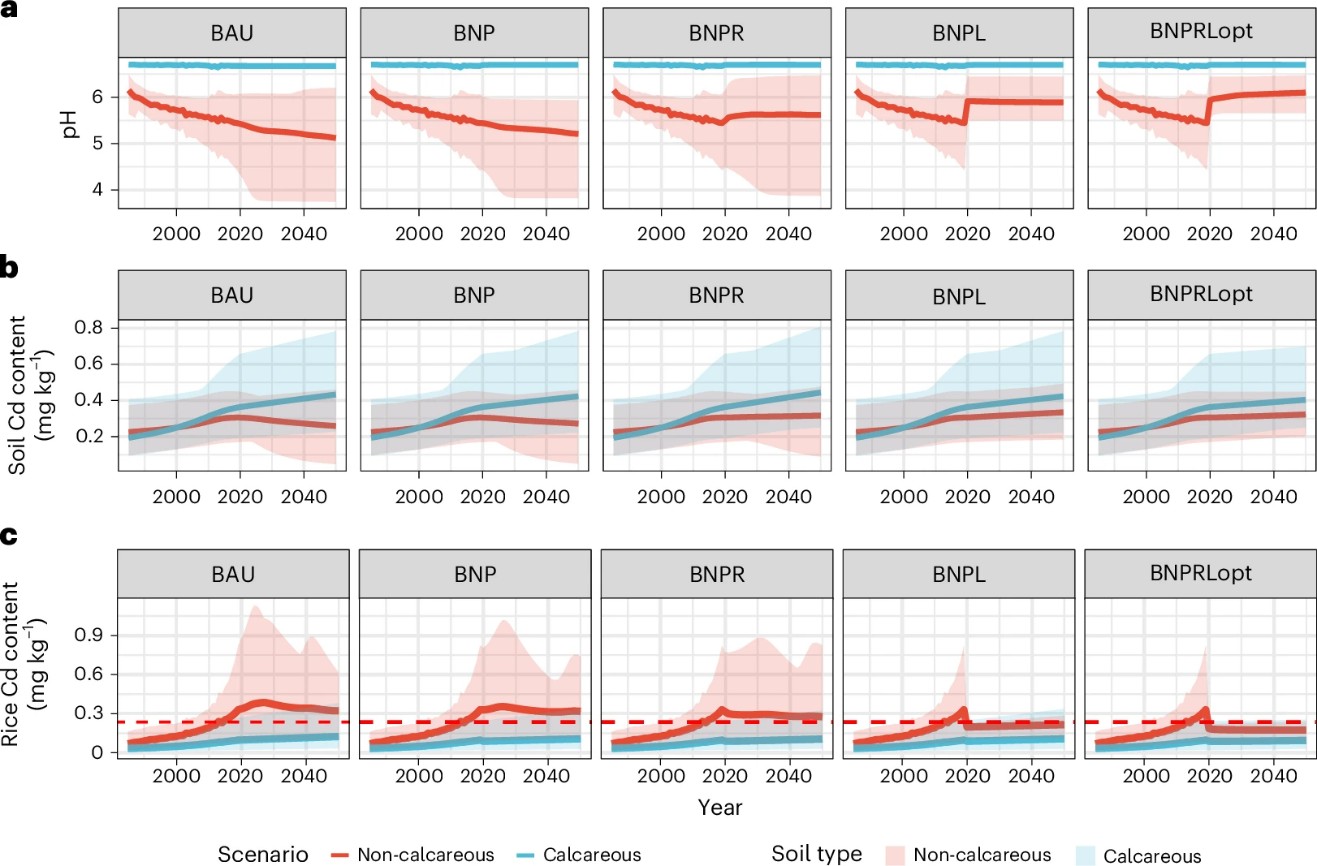 中国农业大学资环学院张福锁院士团队朱齐超副教授课题组揭示养分管理对稻田酸化及镉污染风险的双重调控机制