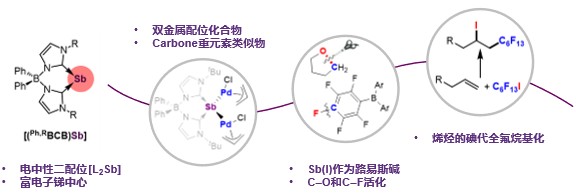 清华大学化学系张韶光研究组研发“零价碳”化合物的中性一价锑类似物