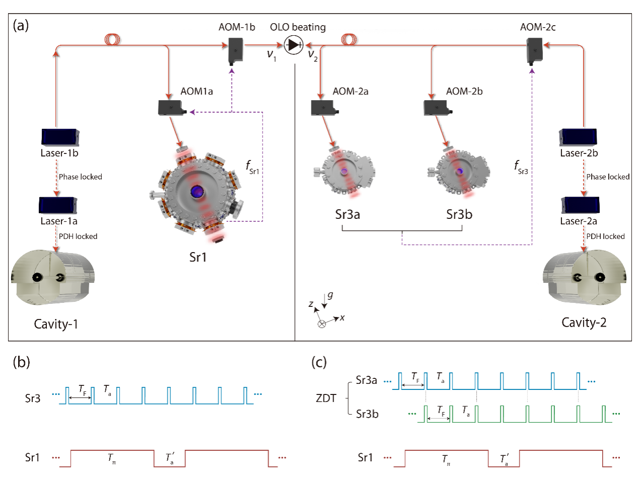 300亿年的误差不超过1秒！ 中国科大实现稳定度和不确定度均达到10^-19​量级的光钟