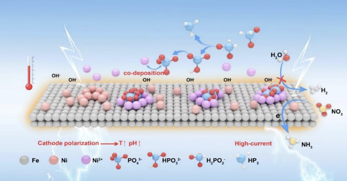 哈工大张冠教授课题组为废水资源化与绿色合成氨提供新思路