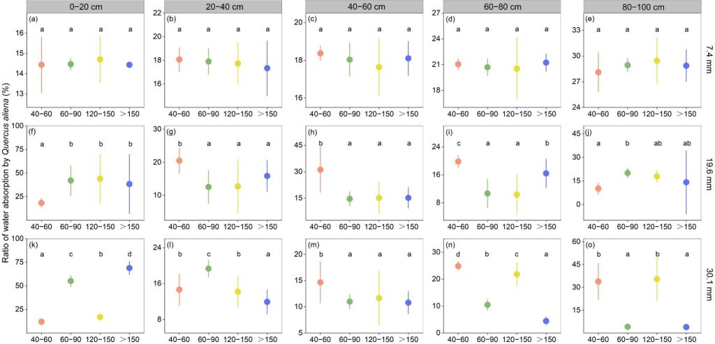 森环森保所揭示宝天曼不同林龄锐齿栎林水分利用机制