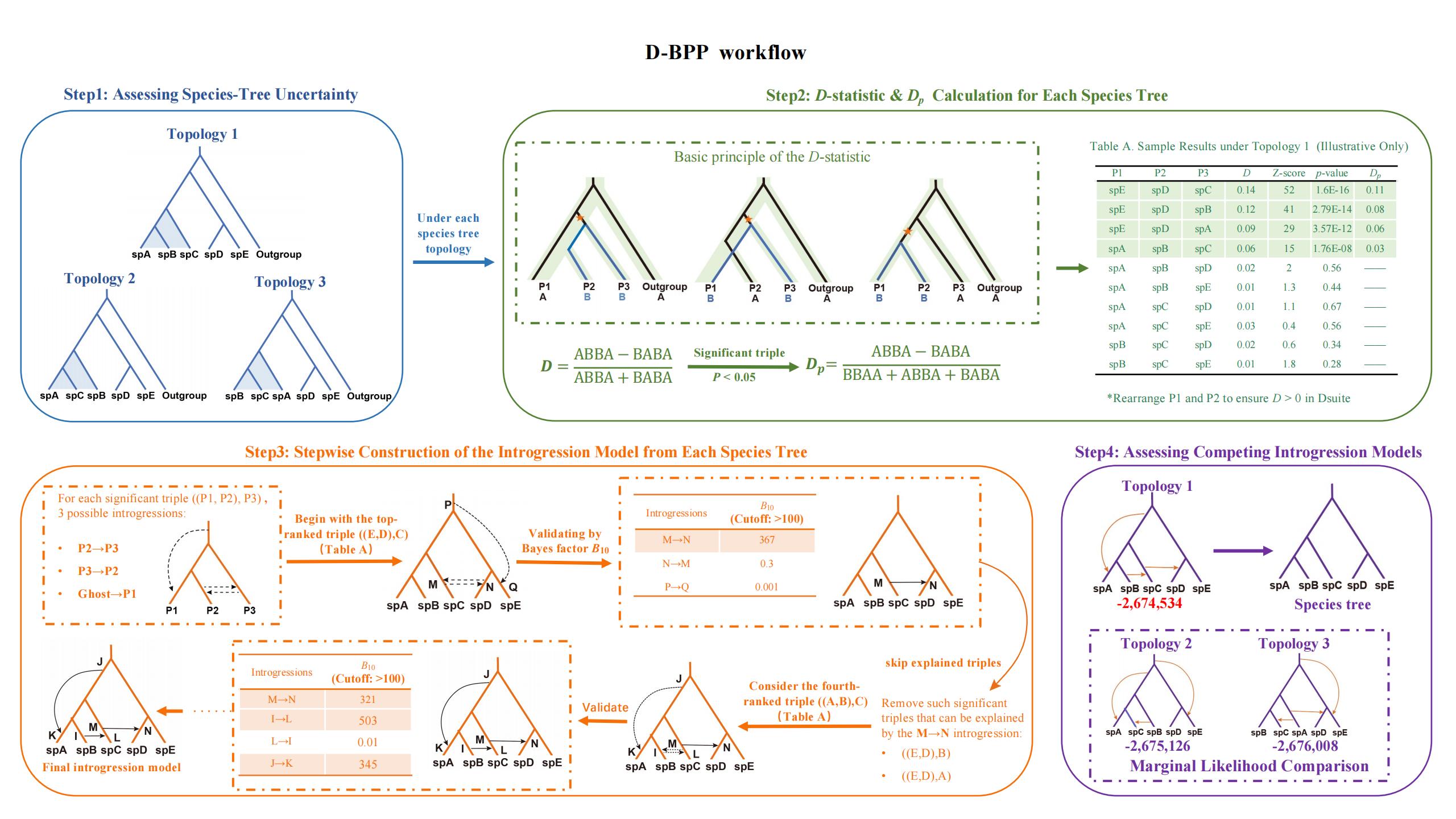 北京师范大学生命科学学院核桃团队近期取得系列进展：从栽培核桃驯化起源到山核桃无融合生殖机制，再到“幽灵渐渗”检测新框架