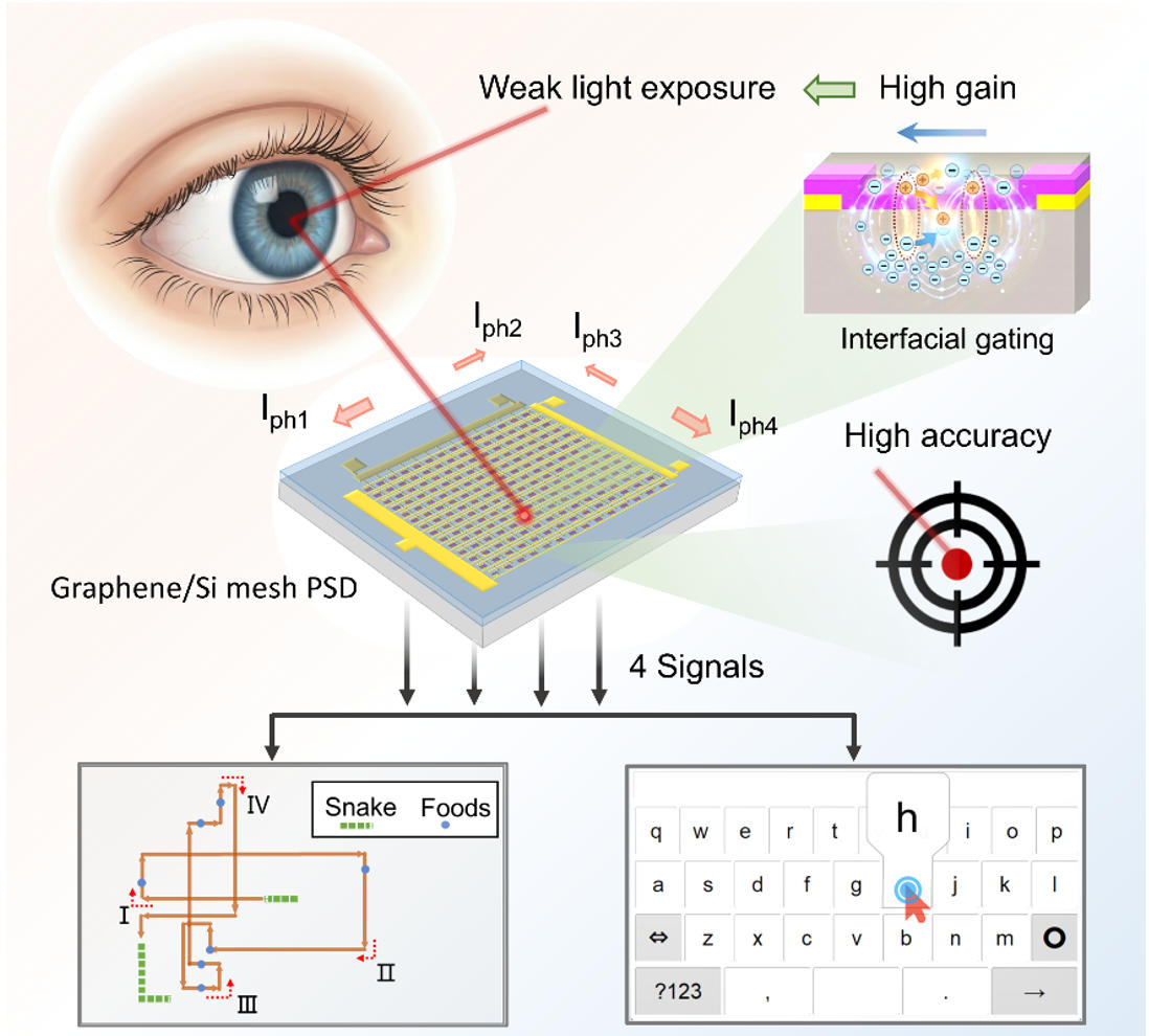 东南大学倪振华、吕俊鹏课题组在《Advanced Materials》上发表最新研究成果